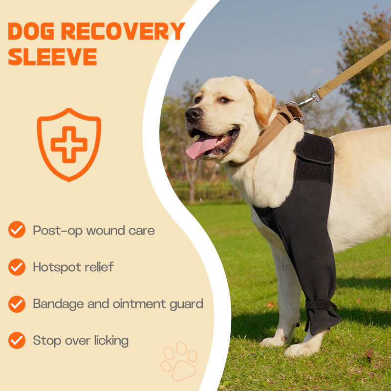 dog front leg sleeve3-Supet